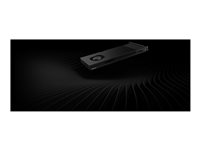 HP NVIDIA RTX Pro 4000 24GB Refurbished | 24GB GDDR7 | PCI-e | 4x DisplayPort 2.1 | Single Slot | 145Watt | 12M Warranty