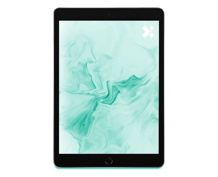 APPLE iPad 8 Refurbished | 32GB | WIFI+LTE | 10.2 inch | Space Gray | 12M Garantie